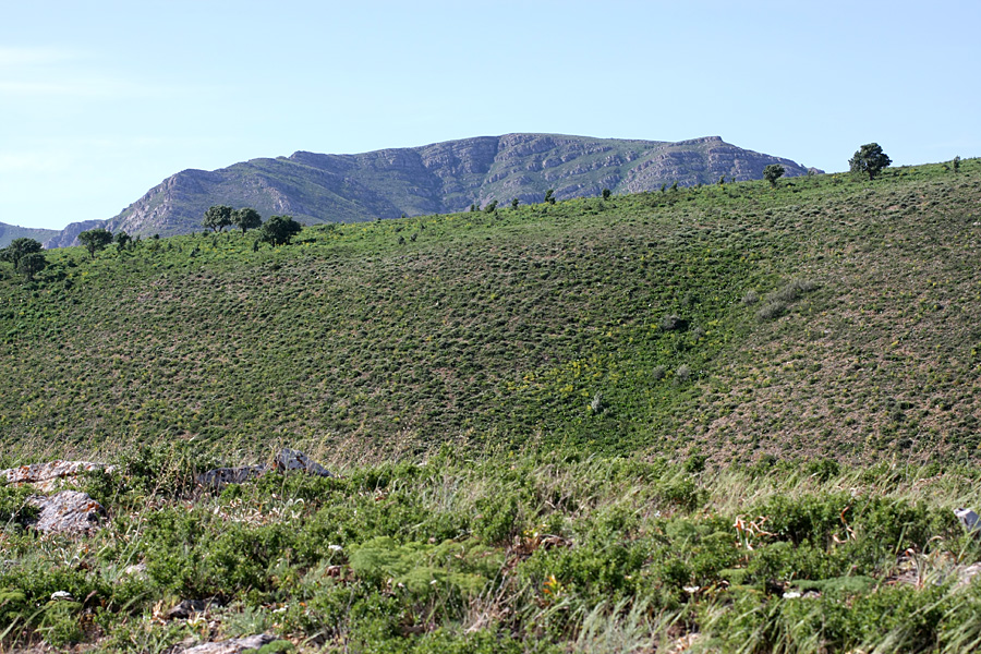 Горы Каракус, image of landscape/habitat.