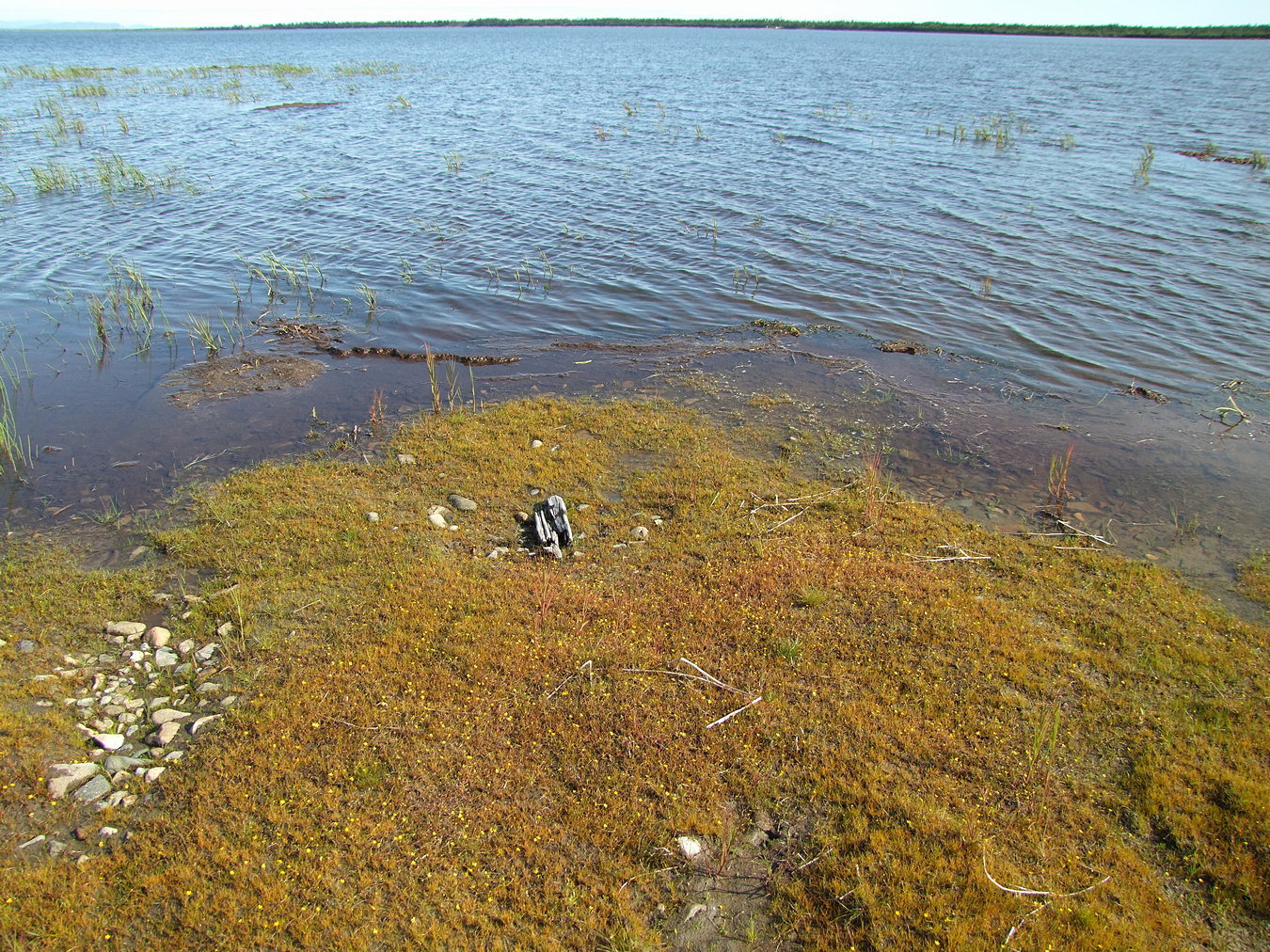 Глухое, image of landscape/habitat.