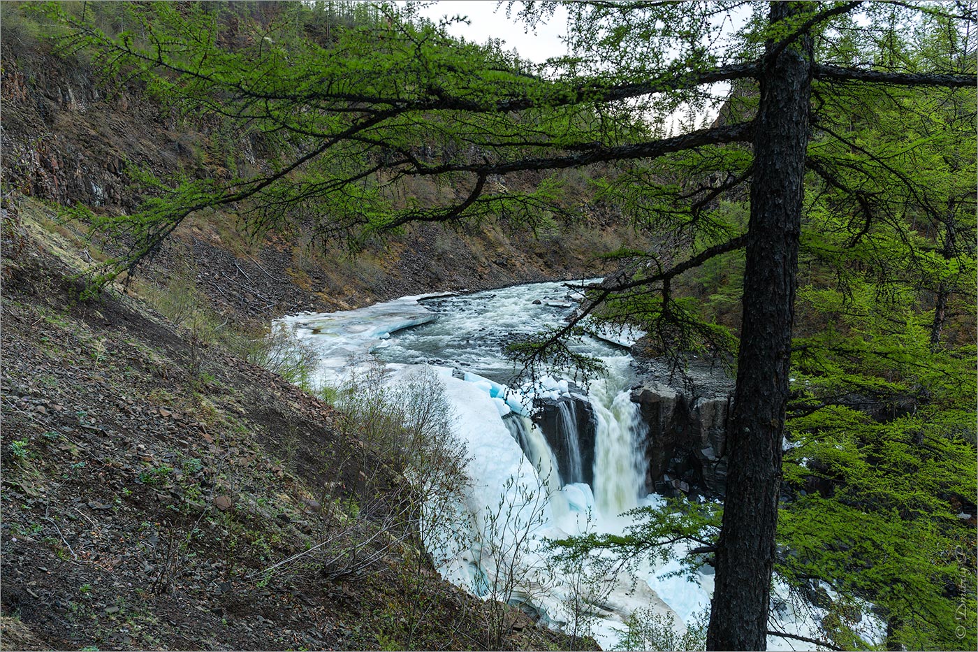 Долина Курейки, image of landscape/habitat.