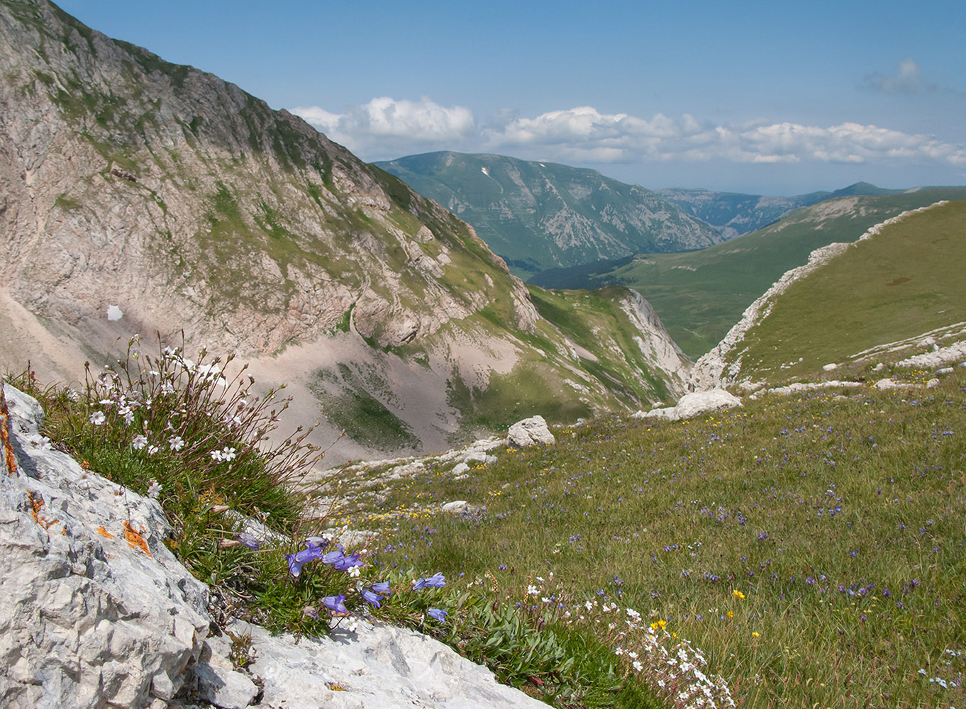 Оштен, image of landscape/habitat.