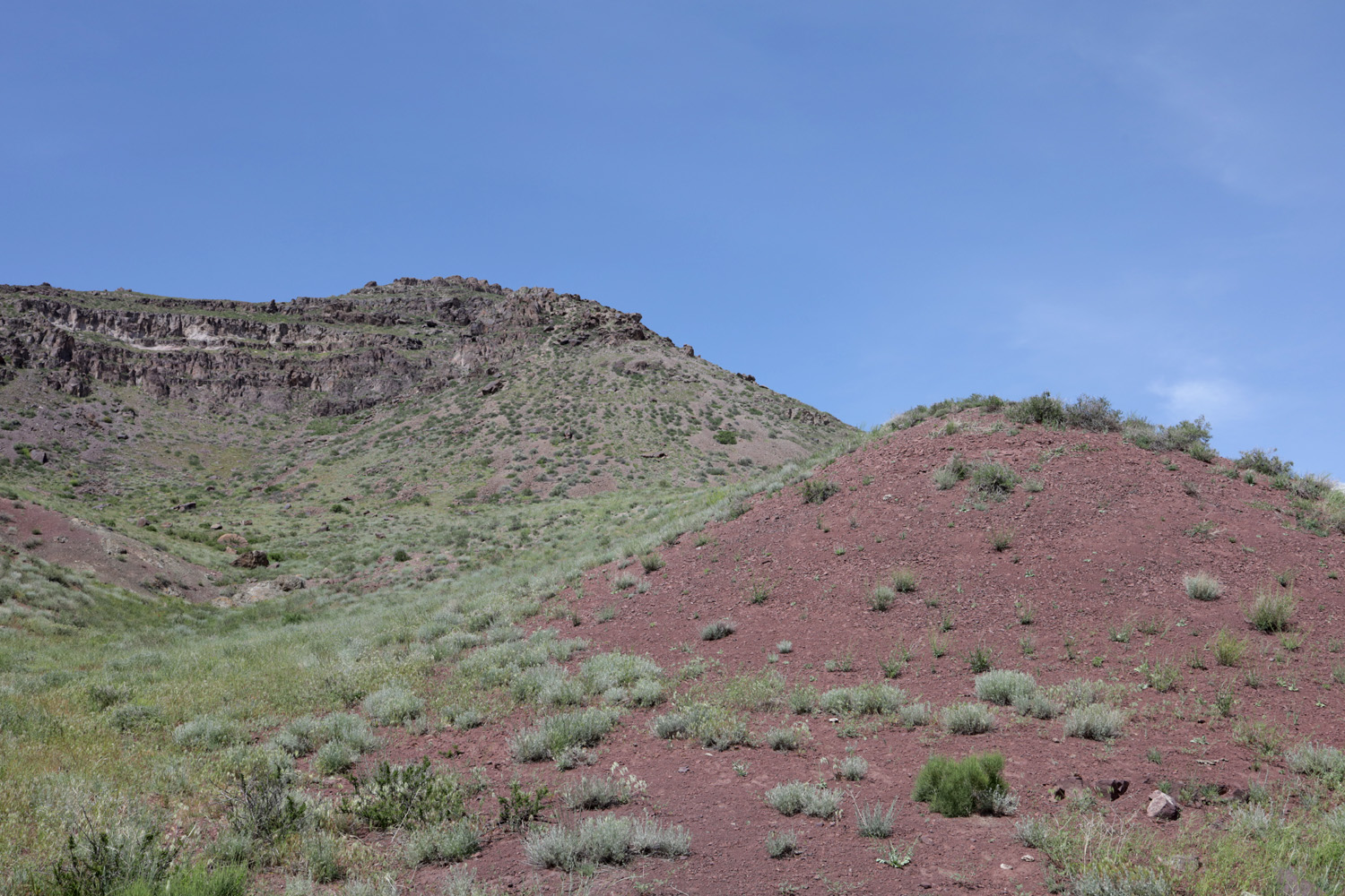 Тайгак, image of landscape/habitat.