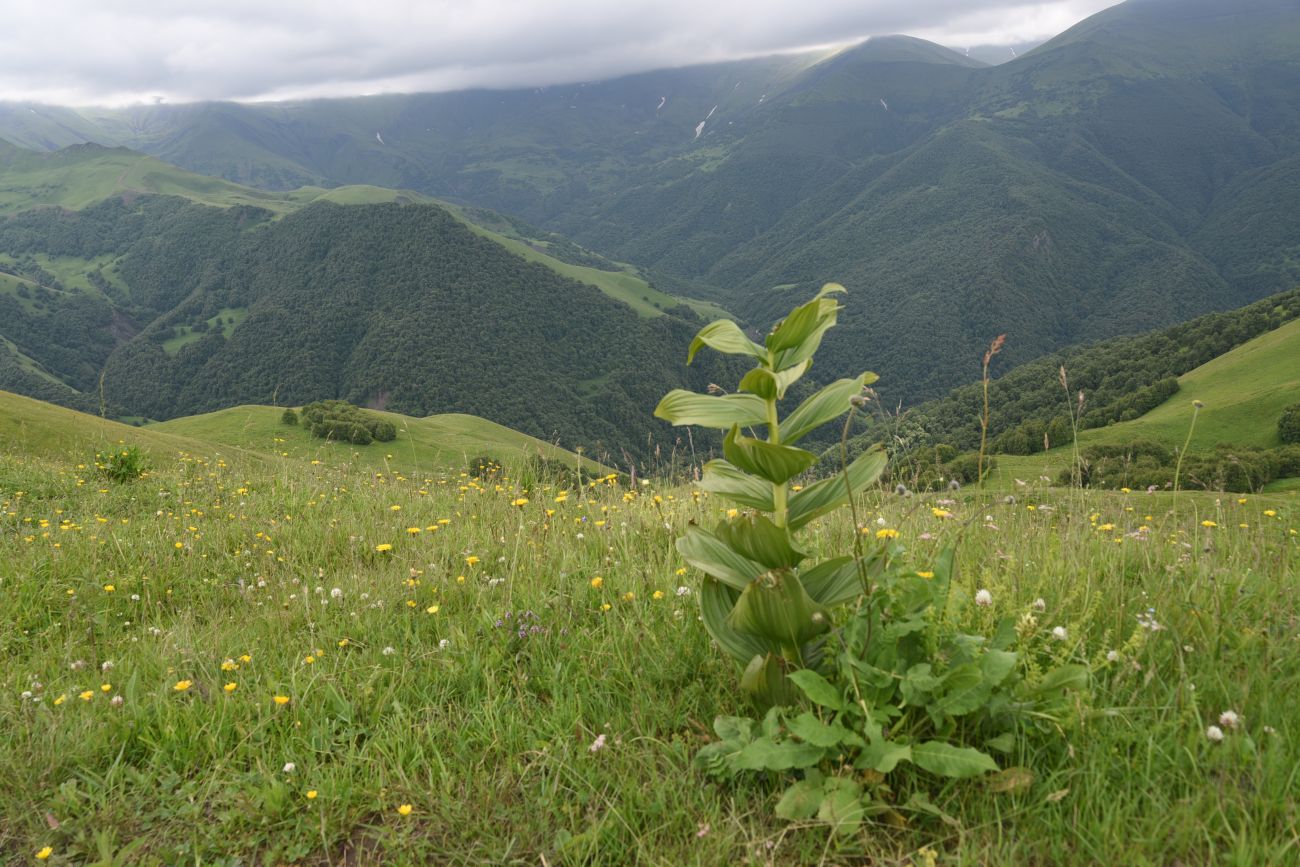 Верховья Хашелдойахк, изображение ландшафта.