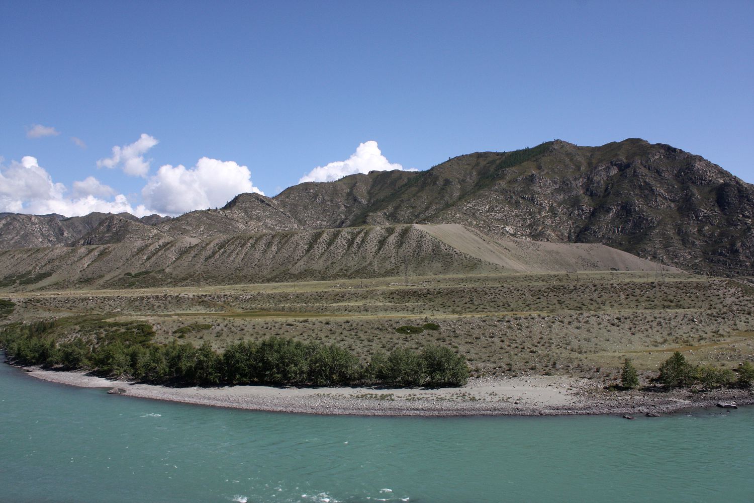 Среднее течение Катуни, image of landscape/habitat.