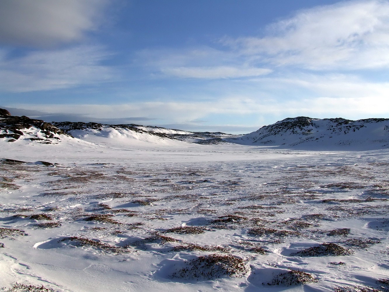 Долина ручья Хохрячий, image of landscape/habitat.