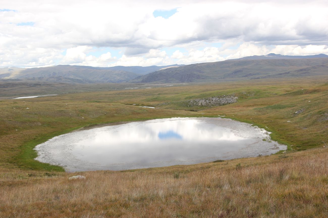 Окрестности реки Музды-Булак, image of landscape/habitat.