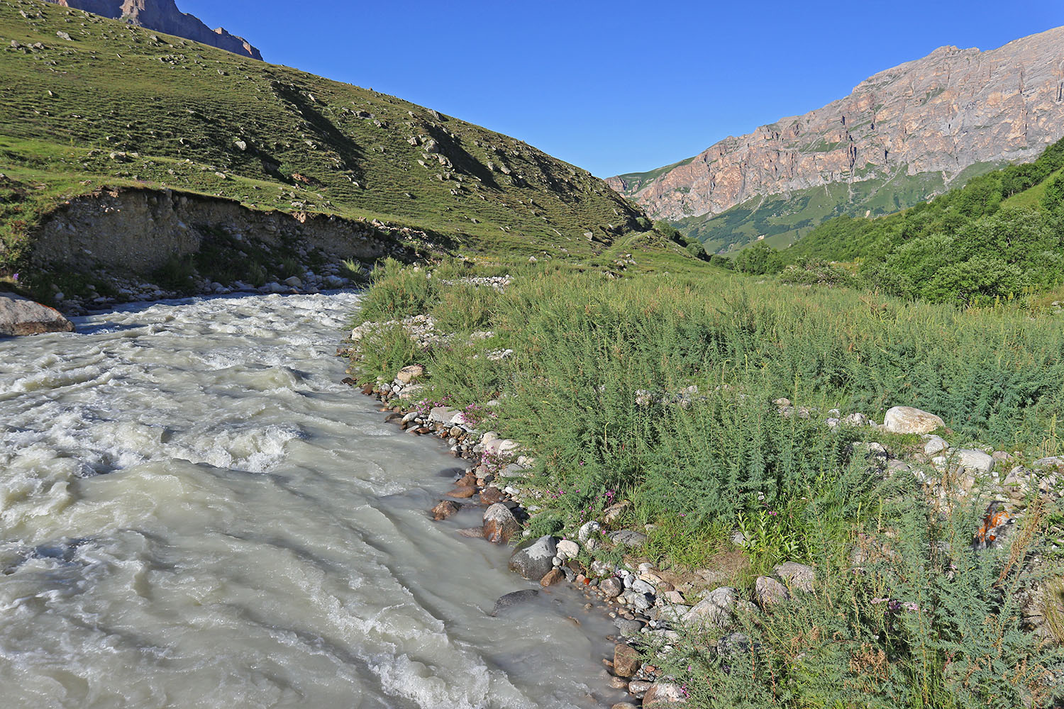 Псыгансу в верхнем течении, image of landscape/habitat.