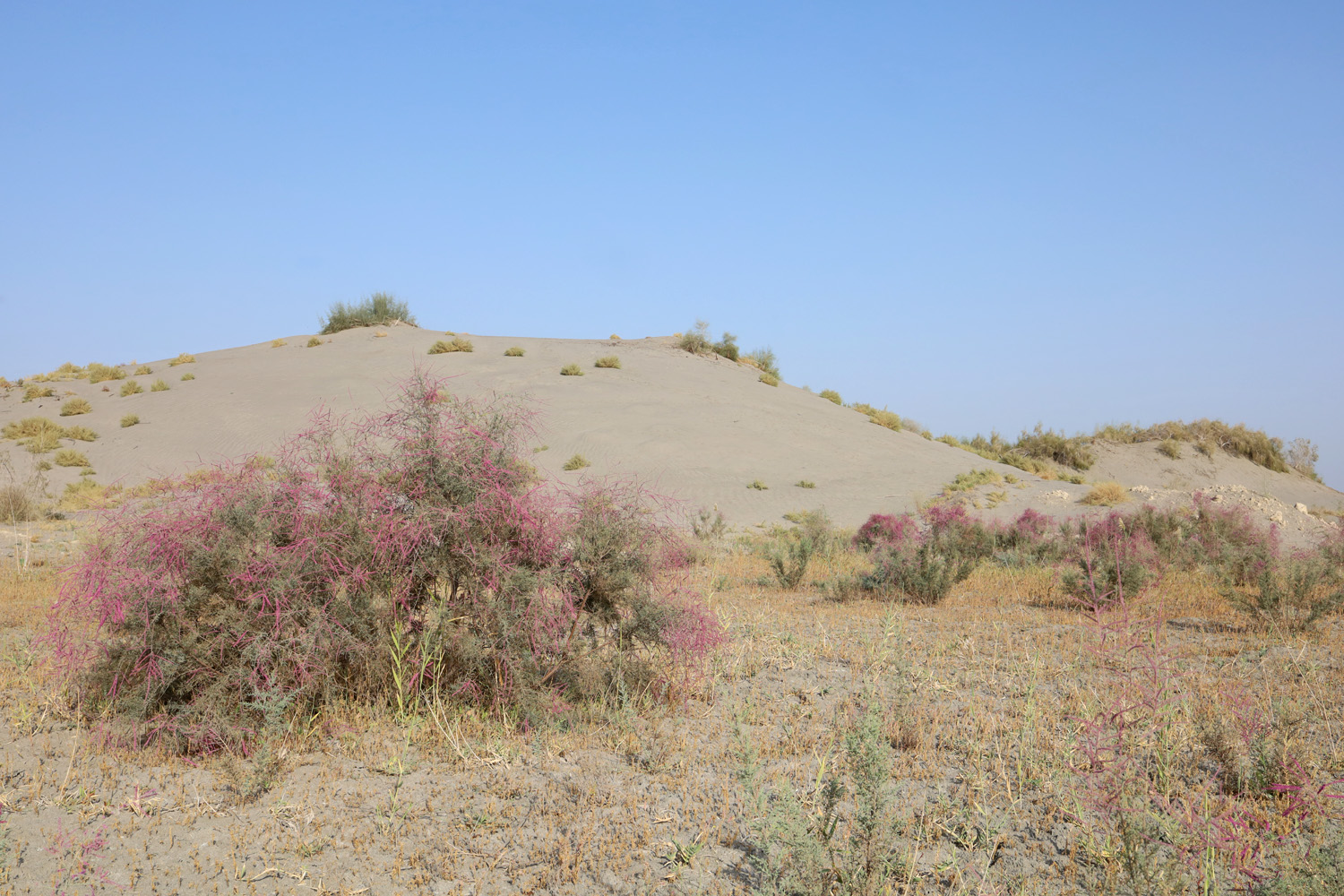 Пески Язъяван, Язъяванский район, изображение ландшафта.