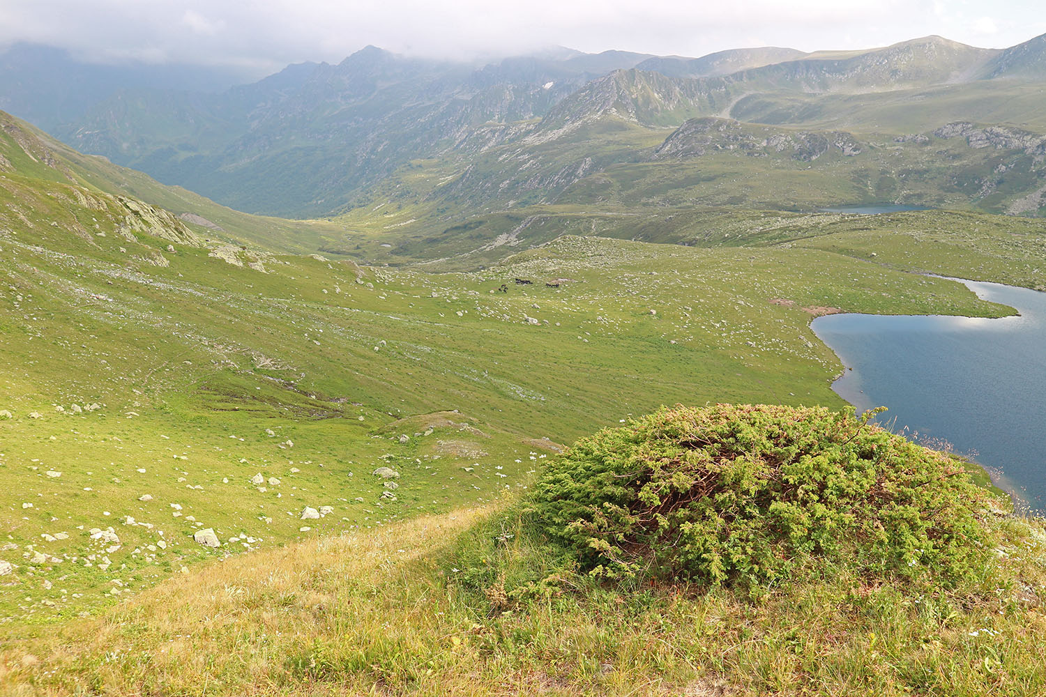 Ацгарские озёра, image of landscape/habitat.