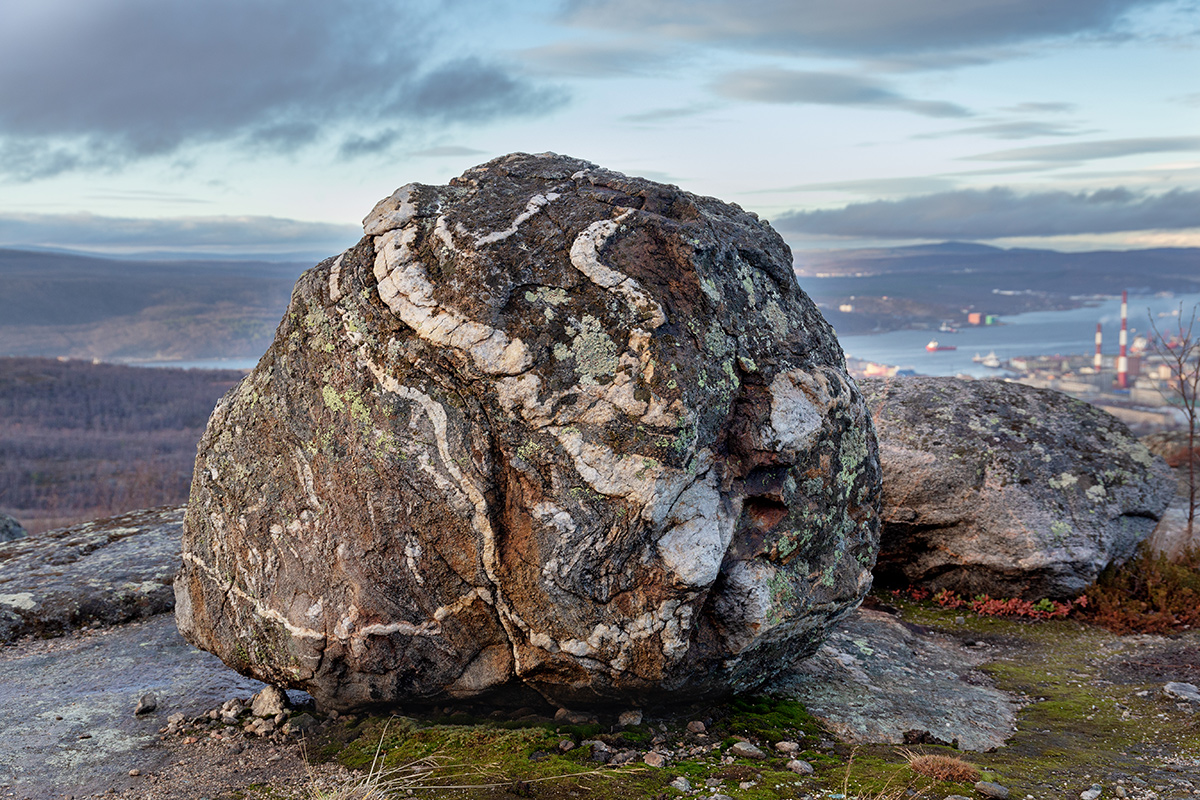 Горелая сопка, image of landscape/habitat.