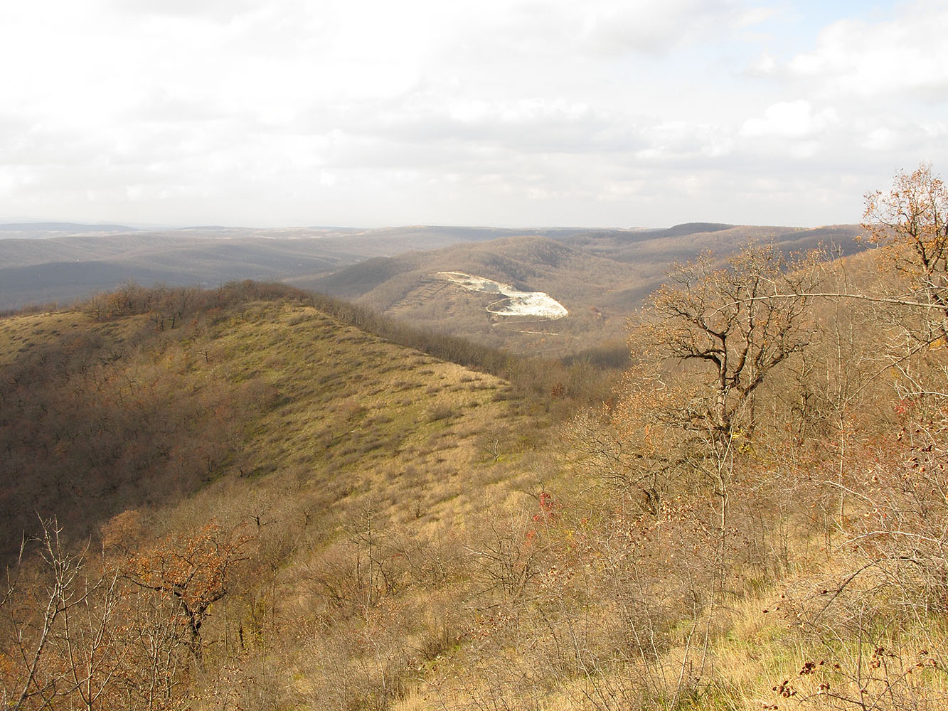 Хребет Грузинка, изображение ландшафта.