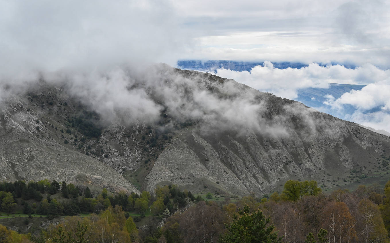 Природный парк "Верхний Гуниб", image of landscape/habitat.