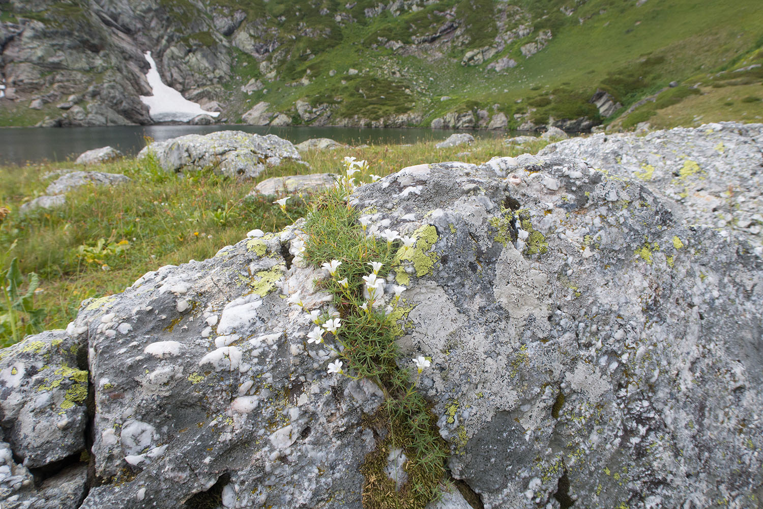 Ацгарские озёра, image of landscape/habitat.