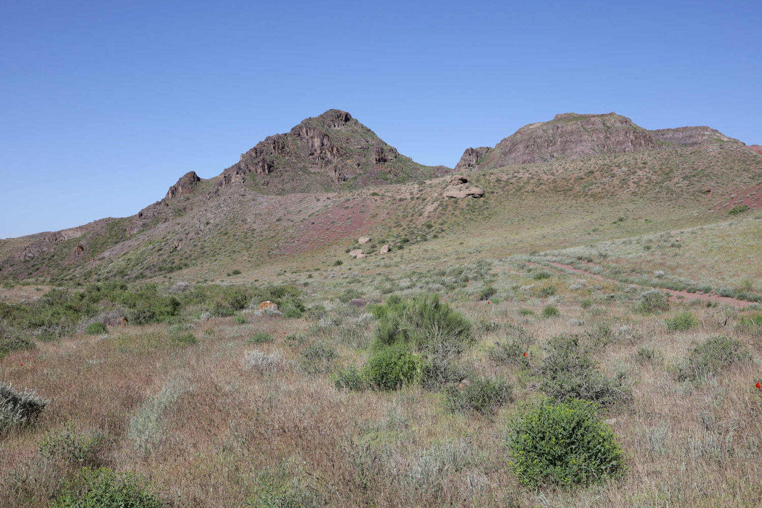 Тайгак, image of landscape/habitat.