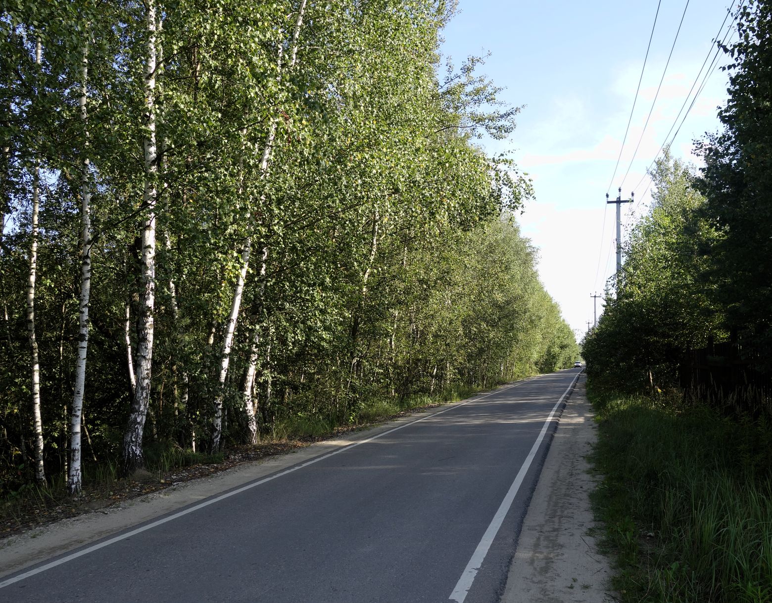 СНТ "Наука", image of landscape/habitat.