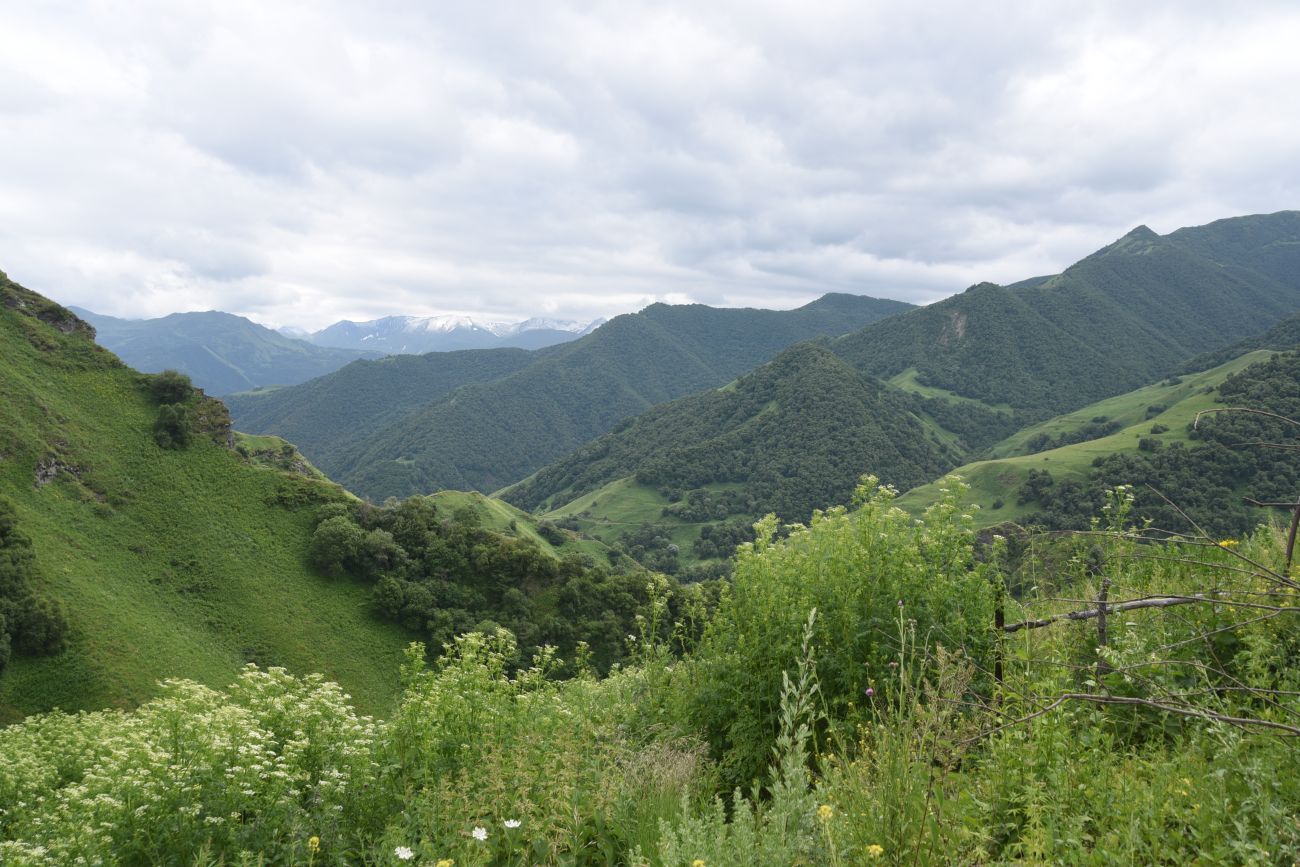 Дом Патимат, изображение ландшафта.