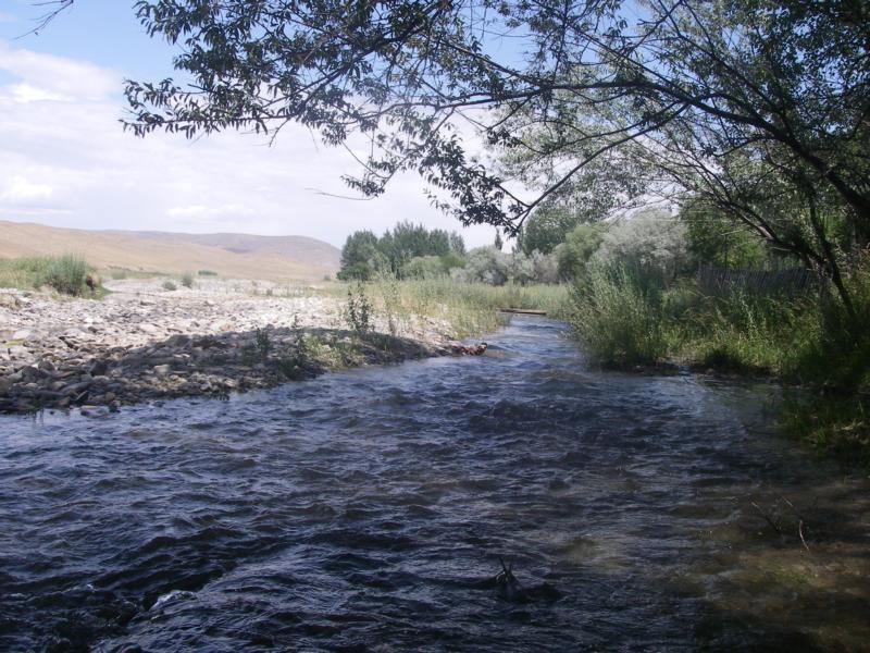 Река Коксарай, image of landscape/habitat.