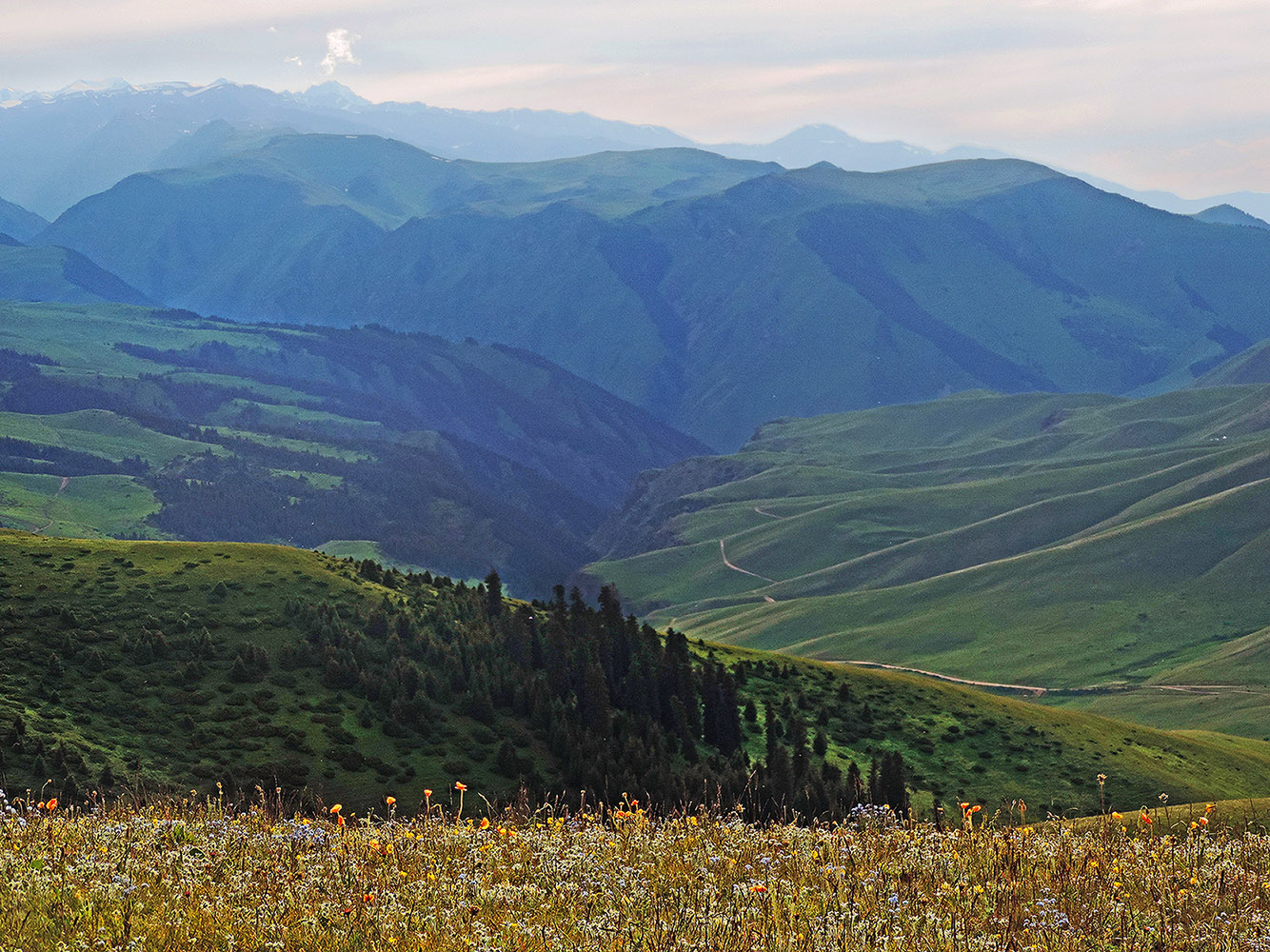 Плато Ассы, image of landscape/habitat.