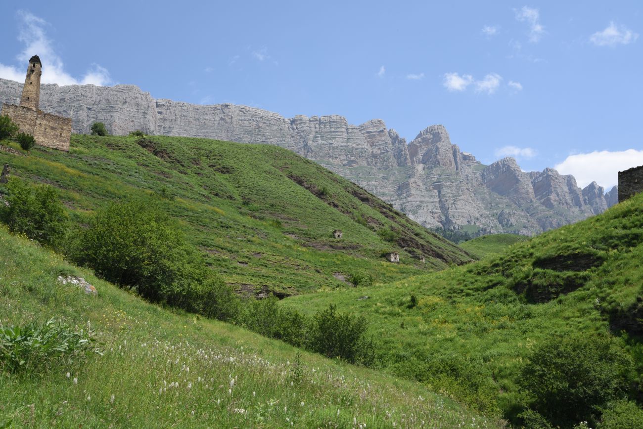 Окрестности урочища Пялинг, image of landscape/habitat.