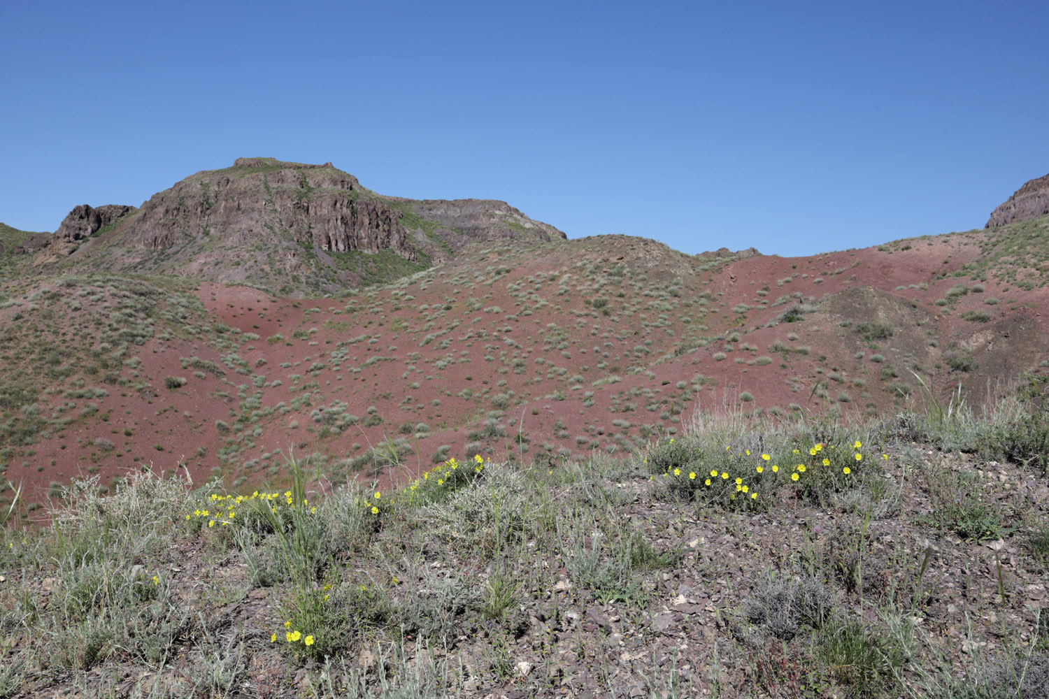 Тайгак, image of landscape/habitat.