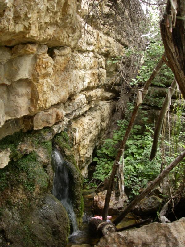 Река Коксарай, image of landscape/habitat.