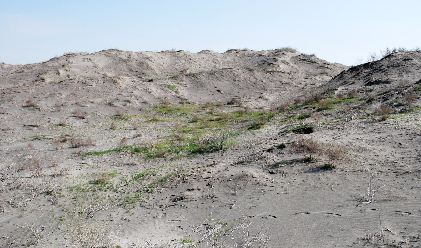 Мингбулакские пески, изображение ландшафта.