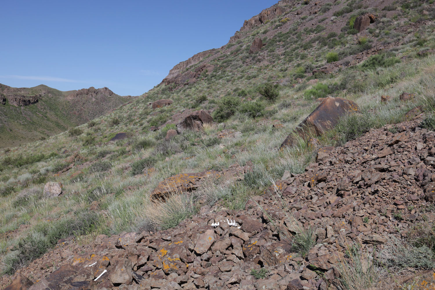 Тайгак, image of landscape/habitat.