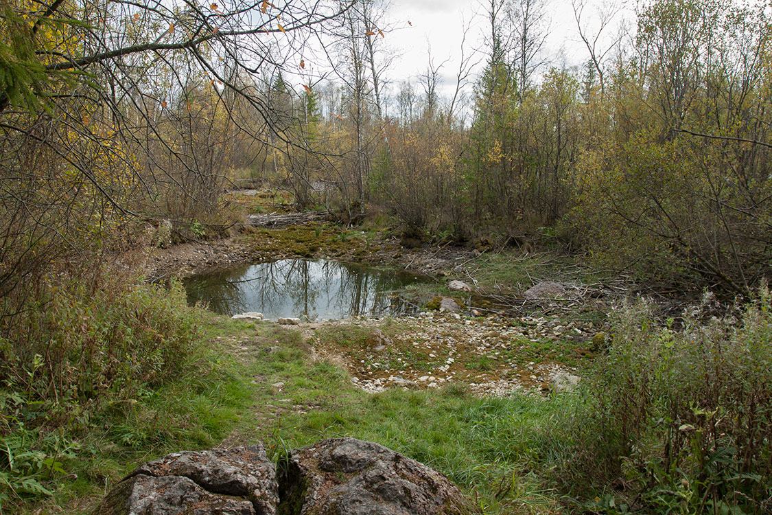 Волосовский район, изображение ландшафта.