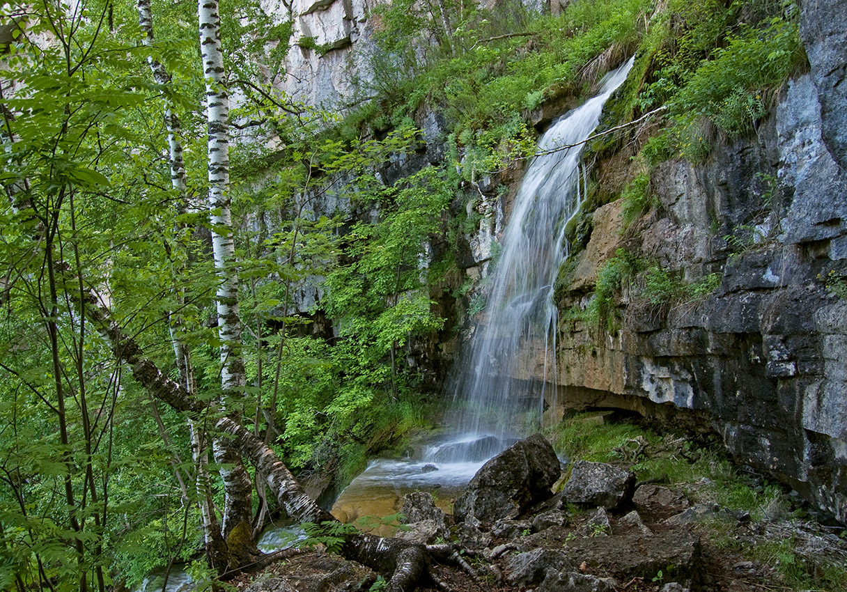 Ручей Куперля, image of landscape/habitat.