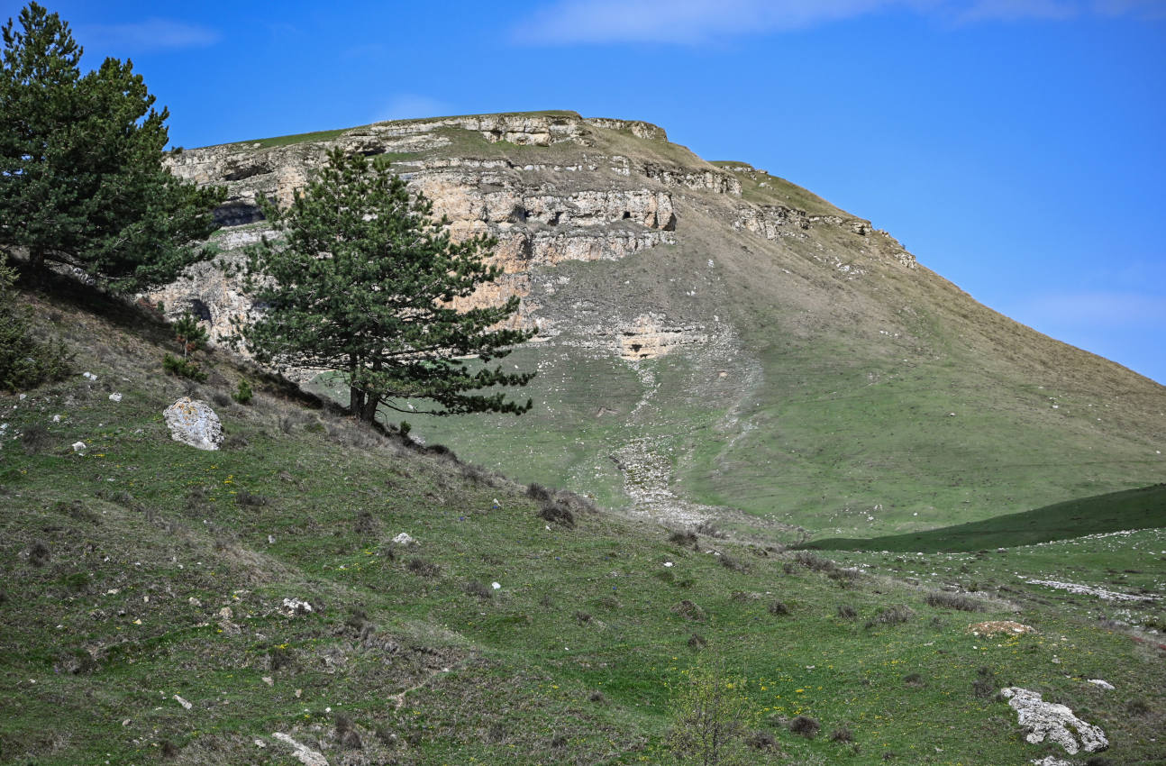 Природный парк "Верхний Гуниб", image of landscape/habitat.