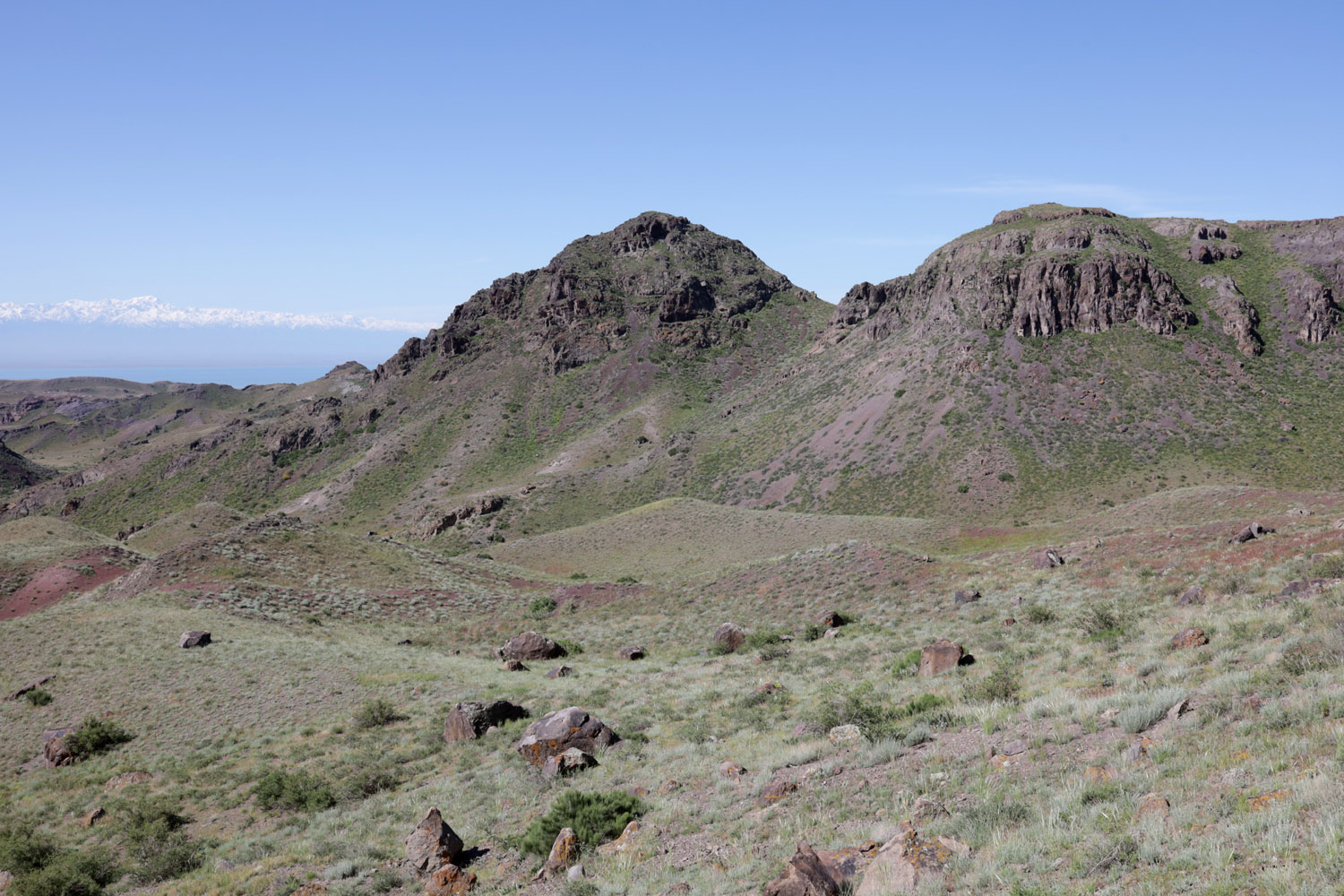 Тайгак, image of landscape/habitat.