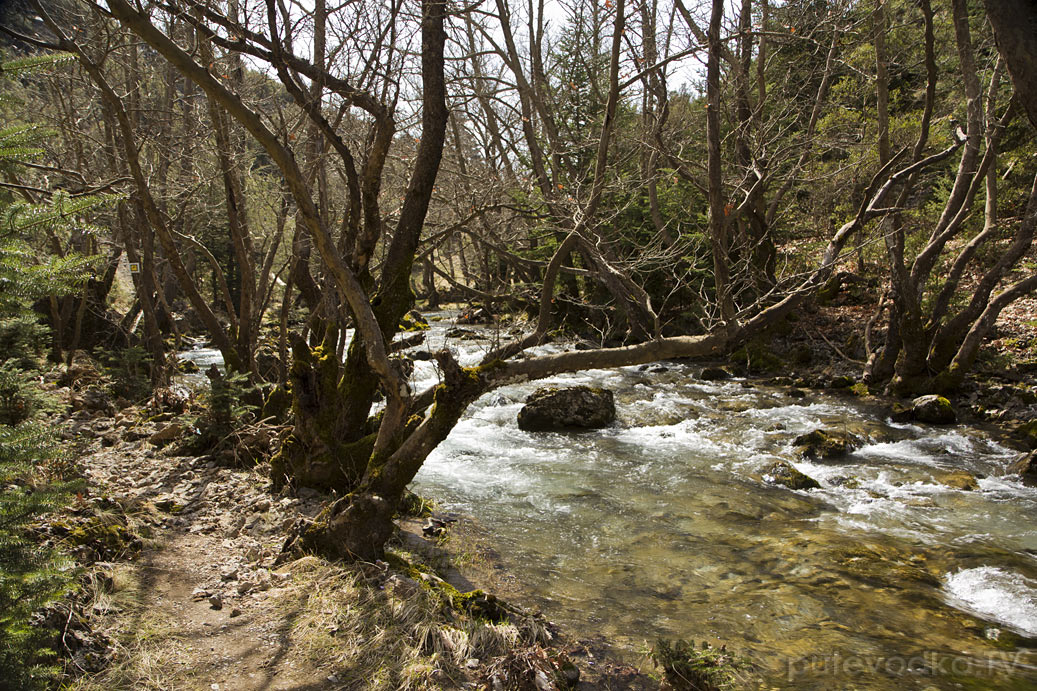 Витина и окрестности, image of landscape/habitat.