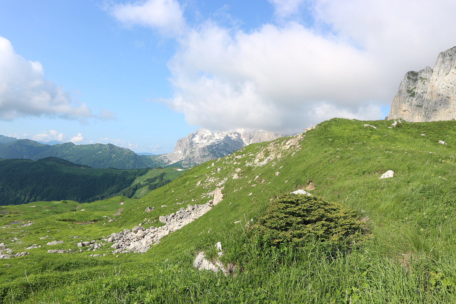 Южный склон горы Гузерипль, image of landscape/habitat.