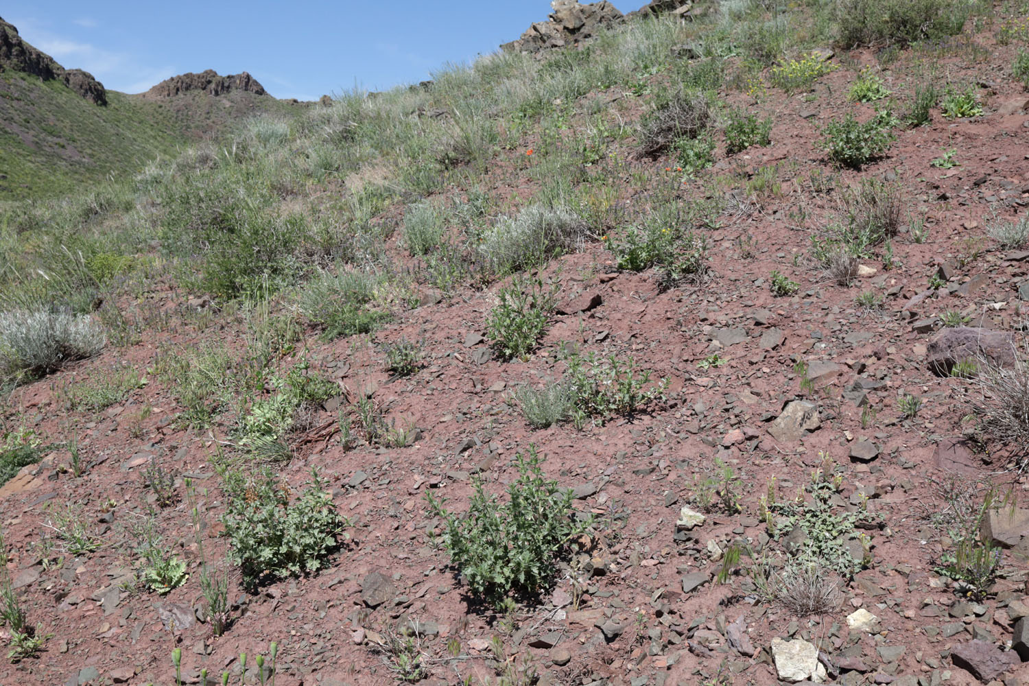 Тайгак, image of landscape/habitat.