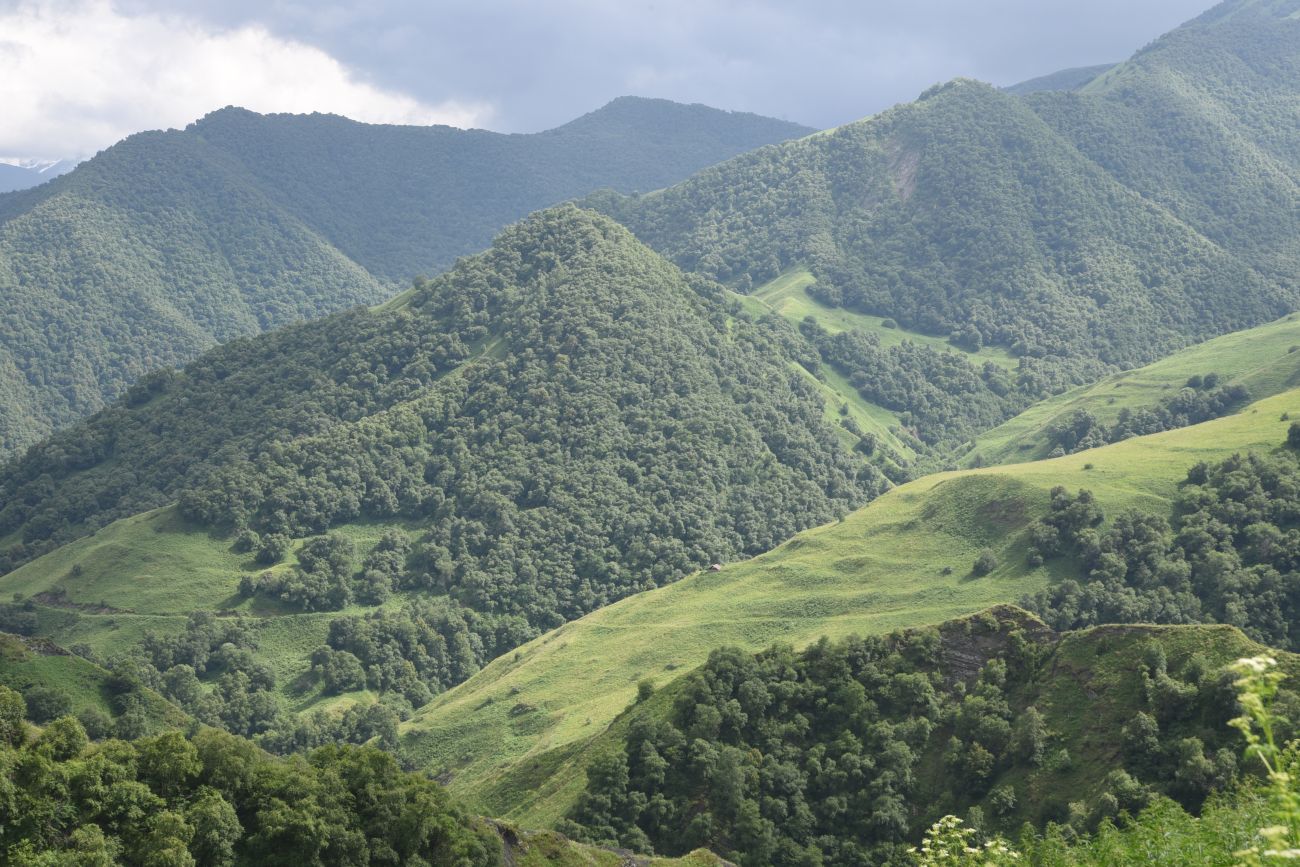 Старый дом Мухтара, изображение ландшафта.