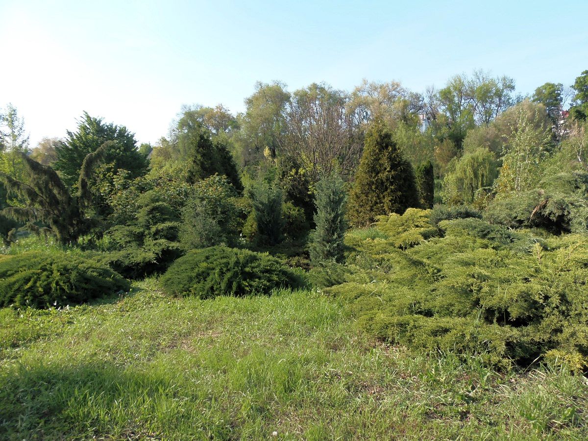 Детский ботанический сад, image of landscape/habitat.