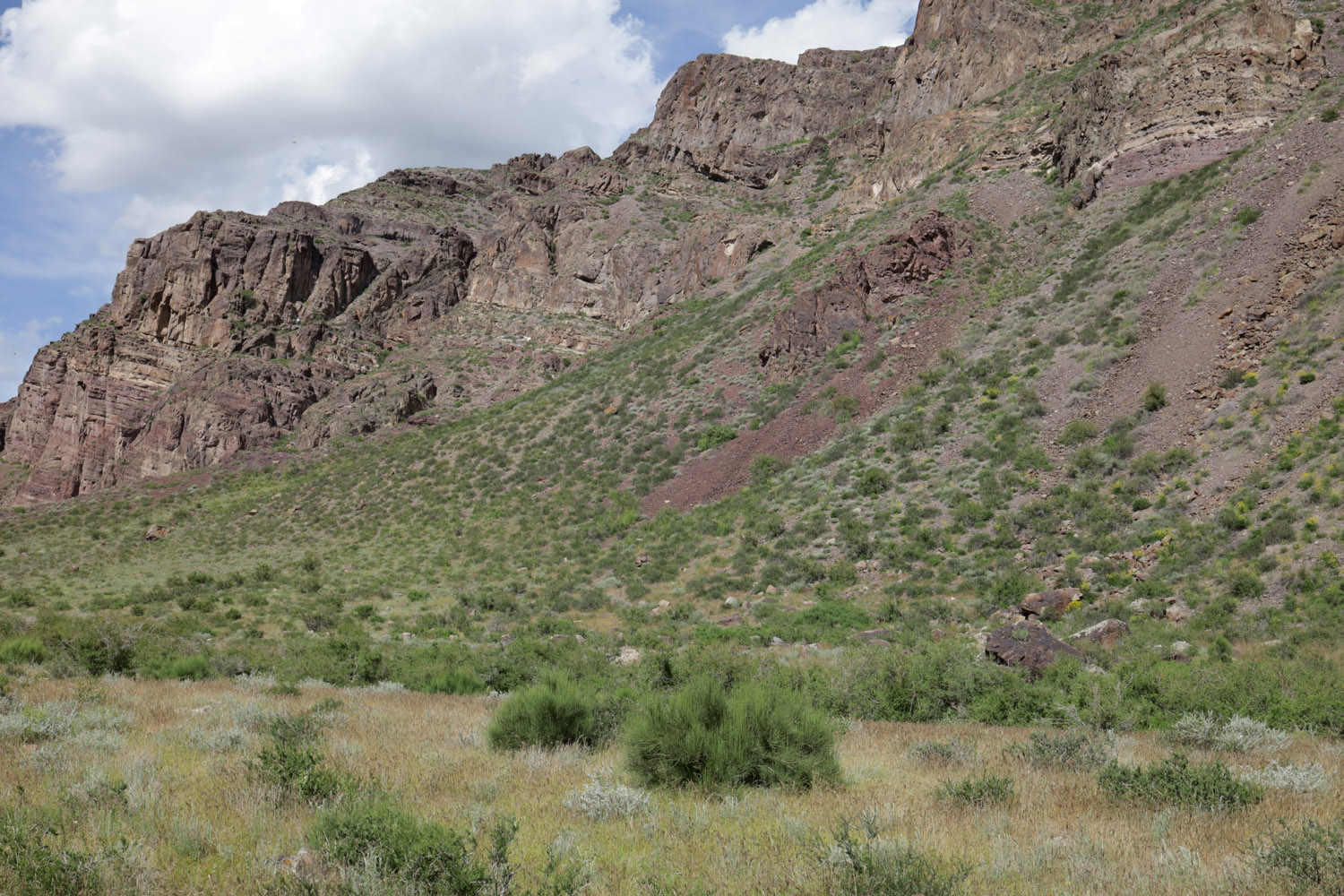 Тайгак, image of landscape/habitat.