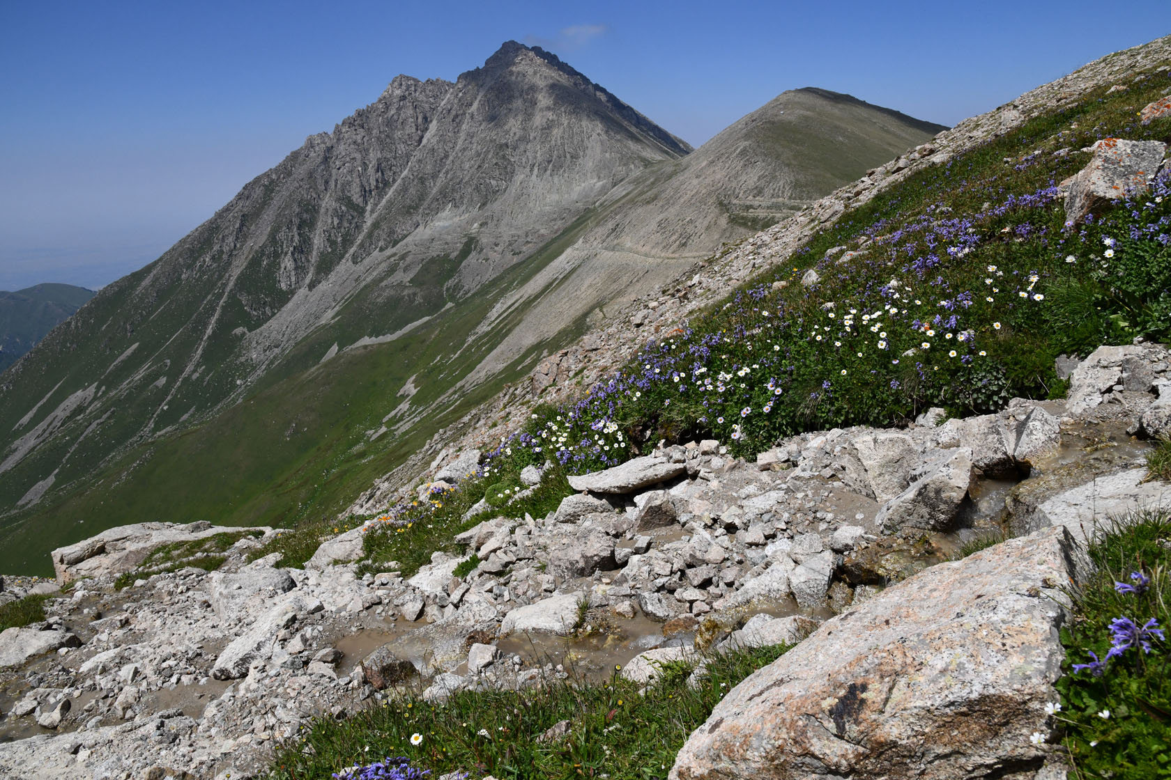 Космостанция, image of landscape/habitat.