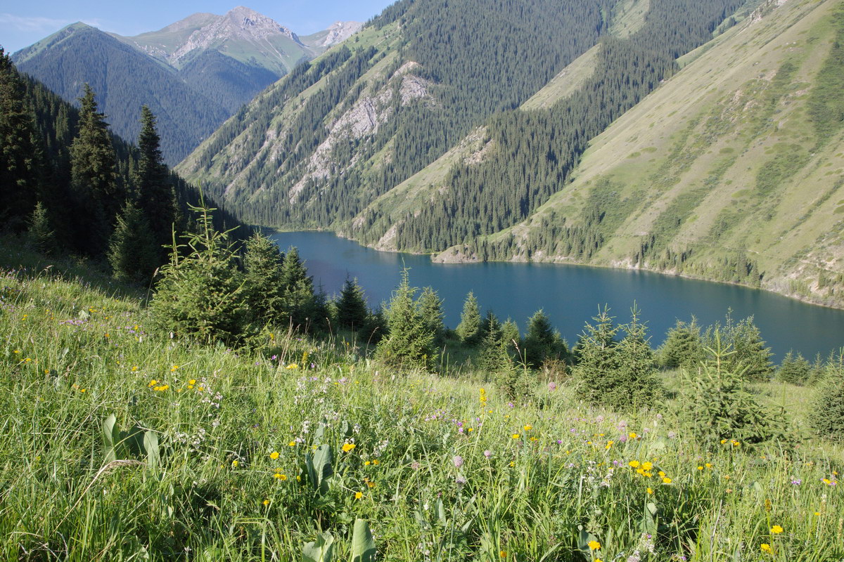 Кульсайские озера, image of landscape/habitat.