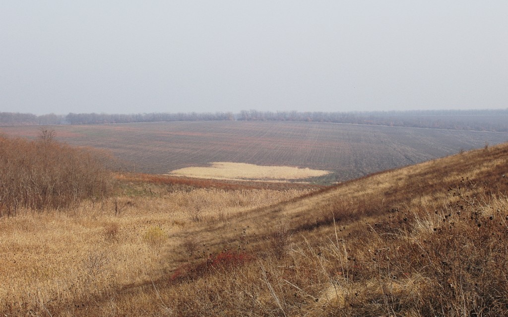 Балка Сухая, image of landscape/habitat.