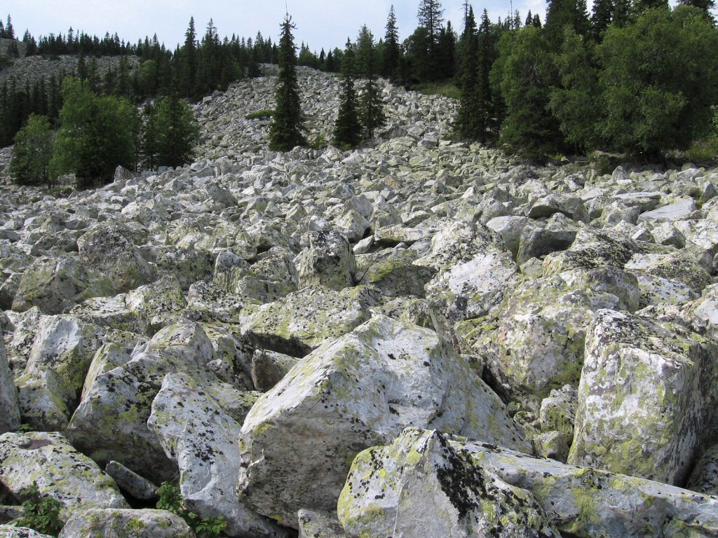 Зигальга, image of landscape/habitat.