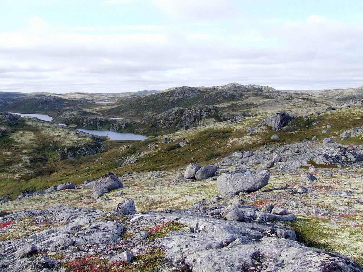 Столбовое озеро, image of landscape/habitat.