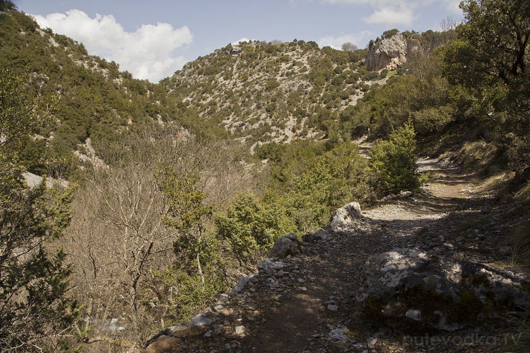 Витина и окрестности, image of landscape/habitat.