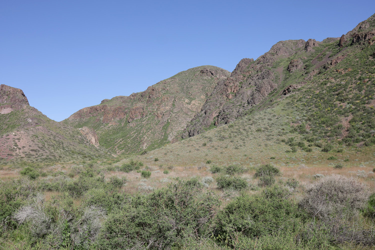 Тайгак, image of landscape/habitat.