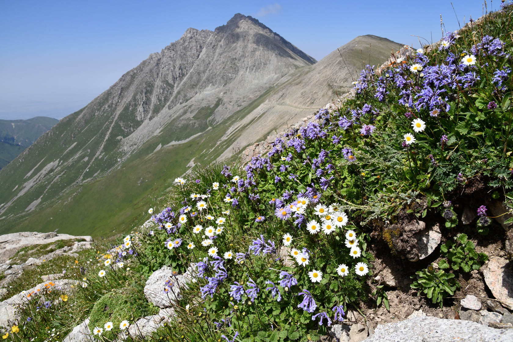 Космостанция, image of landscape/habitat.