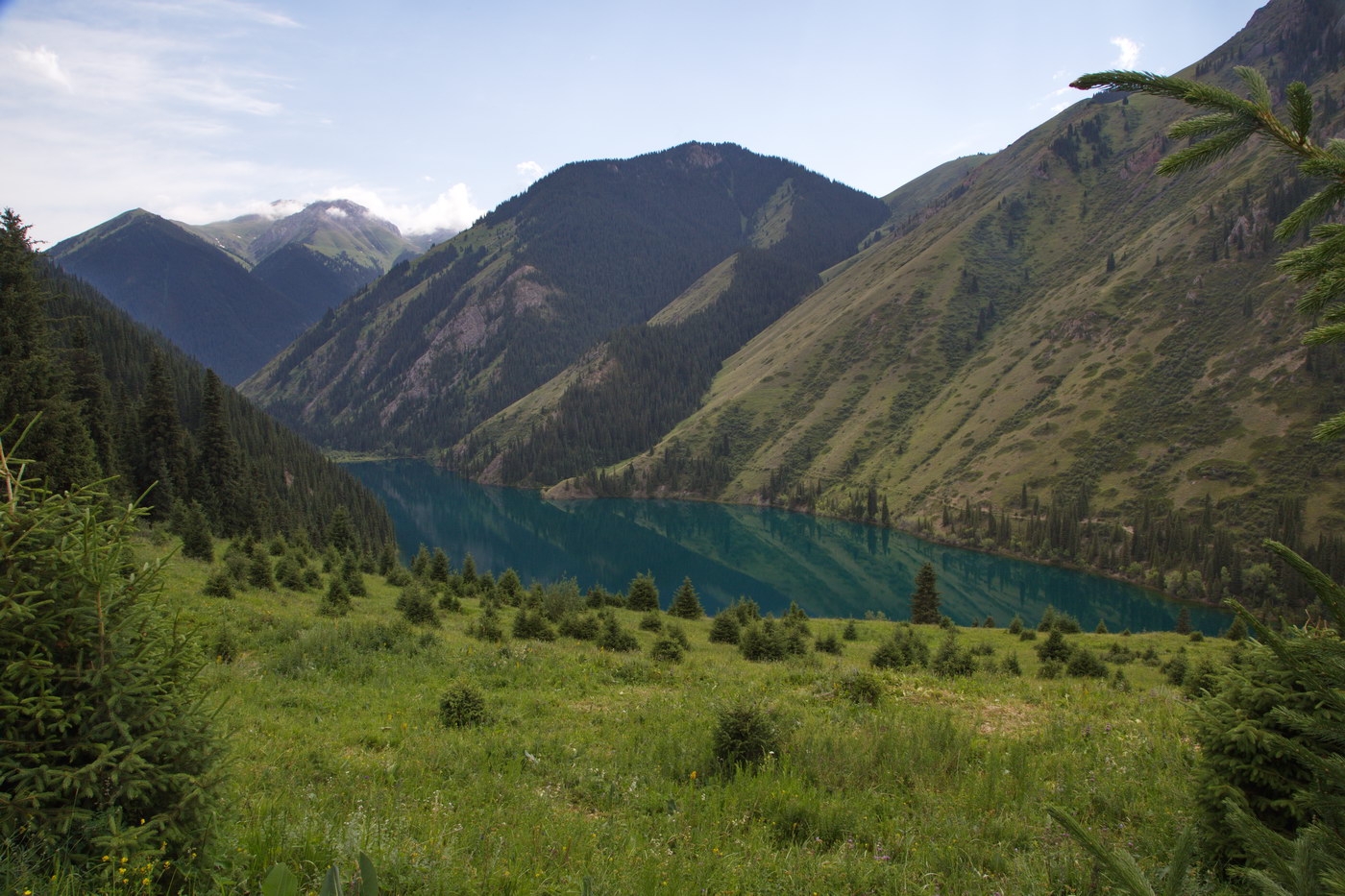 Кульсайские озера, image of landscape/habitat.