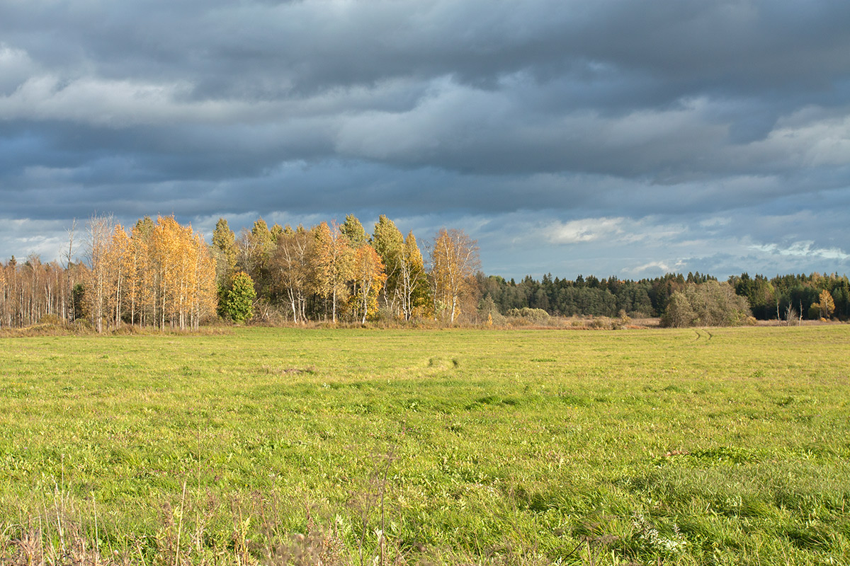 Верховья Оредежа, image of landscape/habitat.