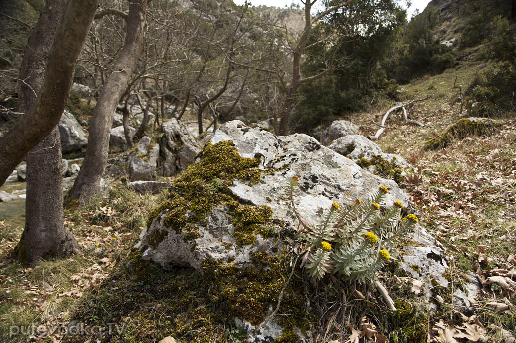 Витина и окрестности, image of landscape/habitat.