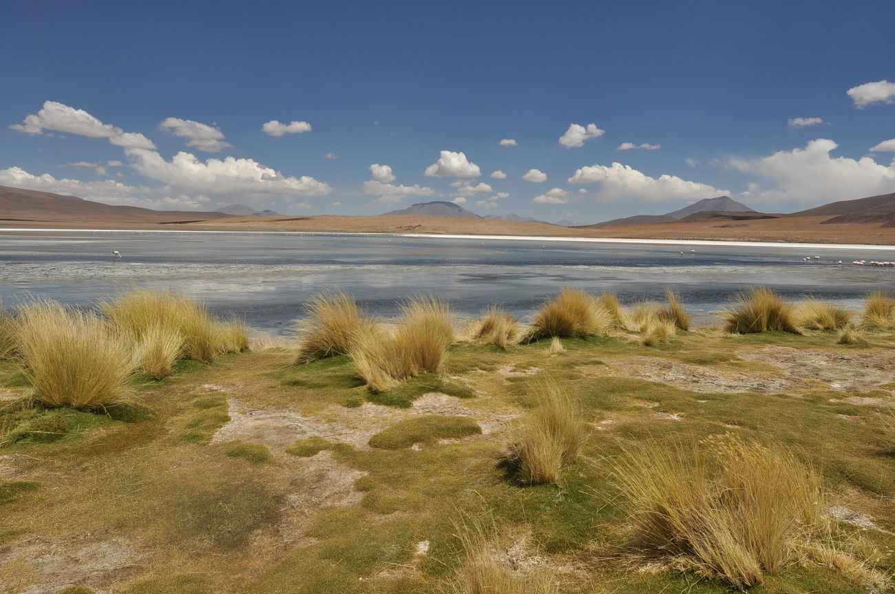 Озеро Каньяпа, image of landscape/habitat.