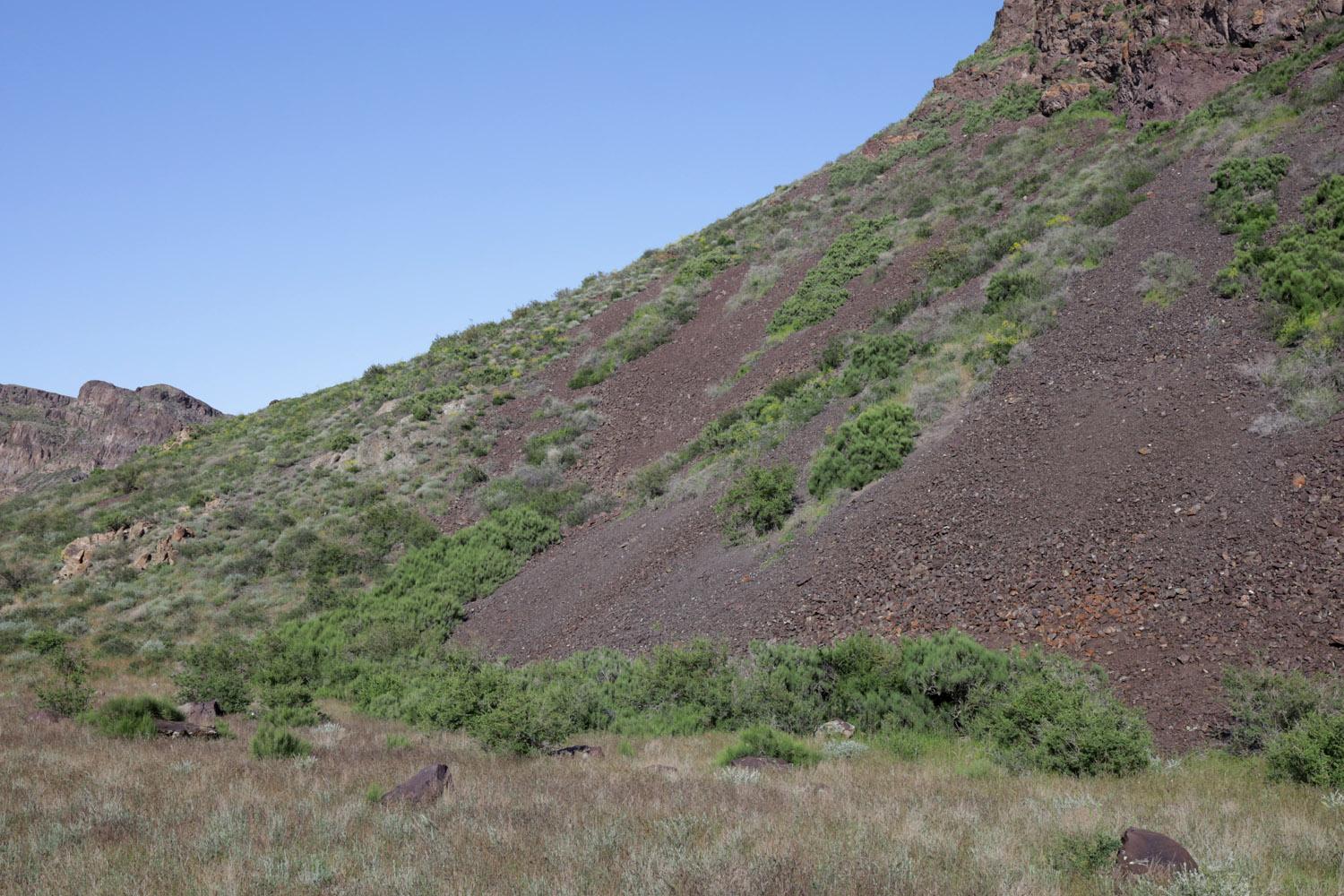 Тайгак, image of landscape/habitat.