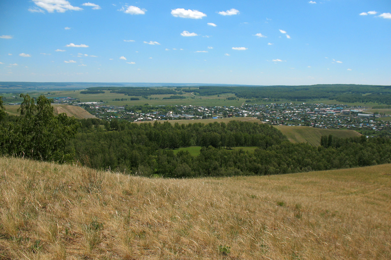 Бавлы, image of landscape/habitat.